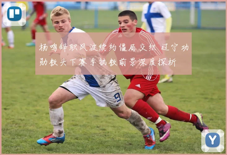 杨鸣辞职风波续约僵局交织 辽宁功勋教头下赛季执教前景深度探析