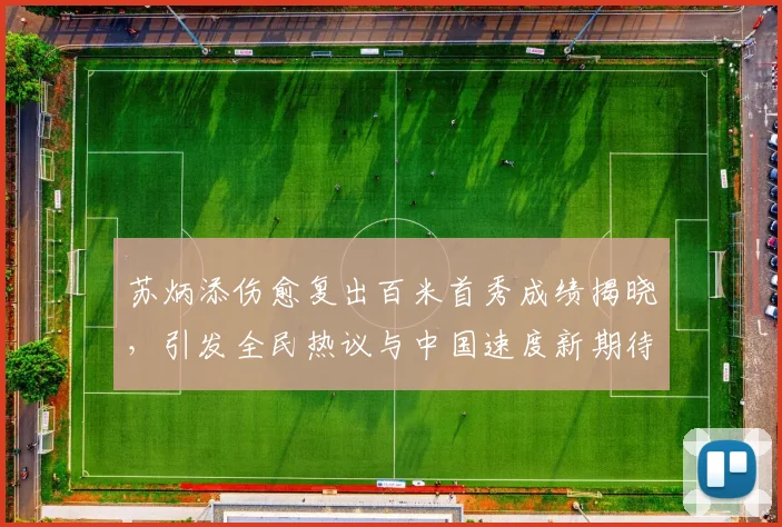 苏炳添伤愈复出百米首秀成绩揭晓，引发全民热议与中国速度新期待